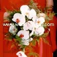 phalaenopsis, asparagus 