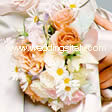 small roses and daisies