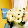 gerberas and small roses