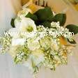 amarillis, roses, lilac