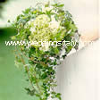 ivy, viburnum, small roses