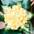 little roses and dieffembachia leaves 
