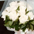 white roses with long stem 