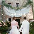 gerberas, roses, privet plants